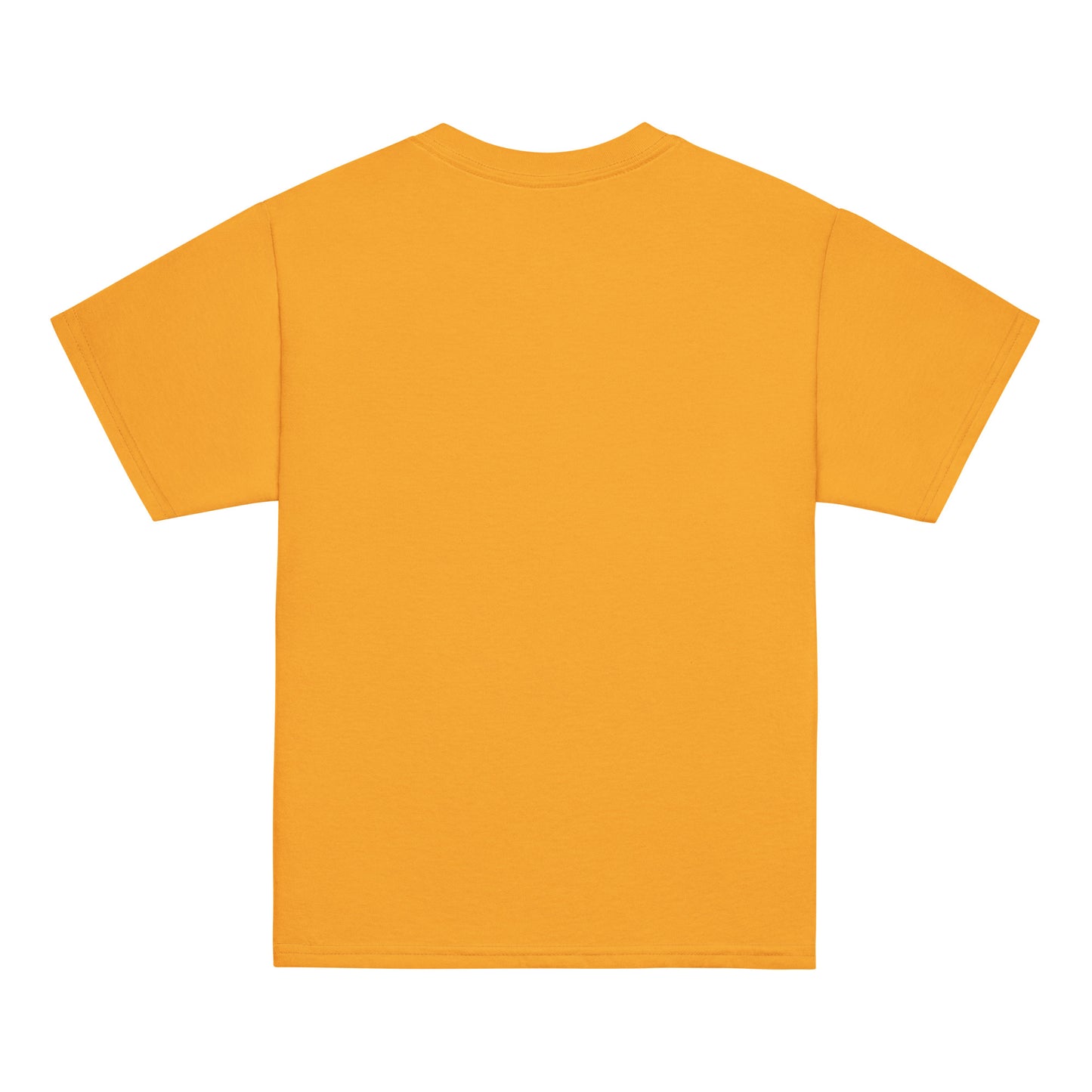Camiseta clásica para jóvenes - Gildan - LAUSD - ThirdStreetES - HeartString
